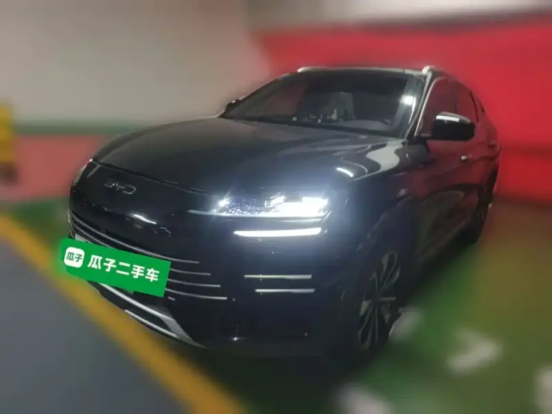 BYD Seal U (PLUS New Energy)