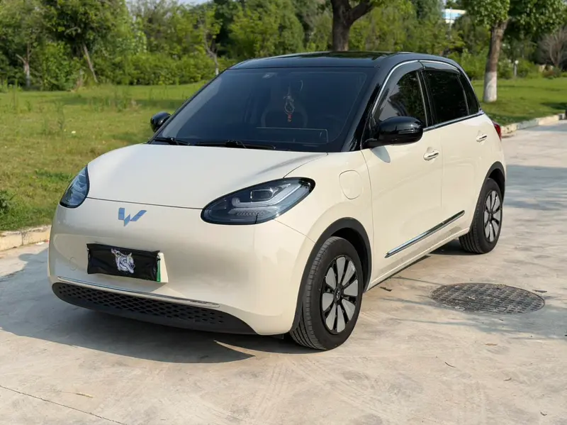 Wuling Bingo