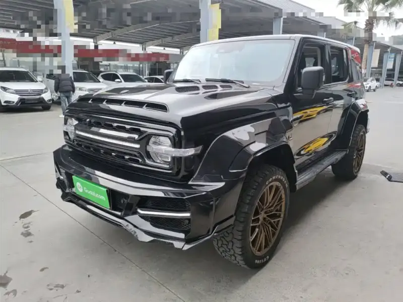 Tank 300