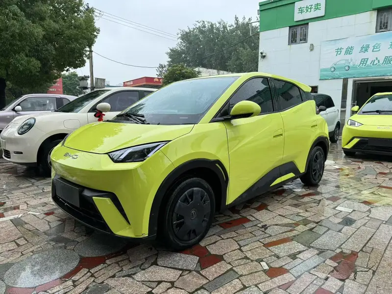 BYD Seagull
