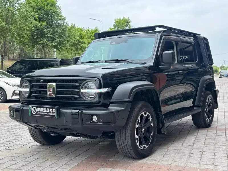 Tank 300