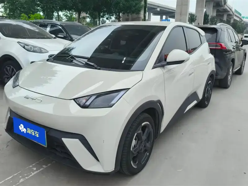 BYD Seagull
