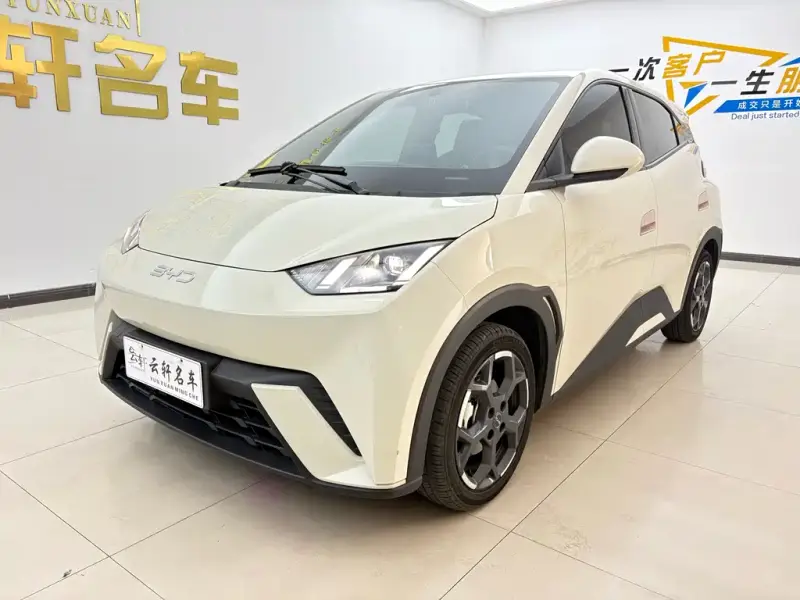 BYD Seagull