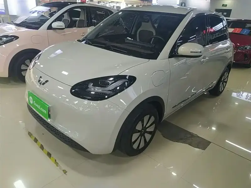 Wuling Bingo