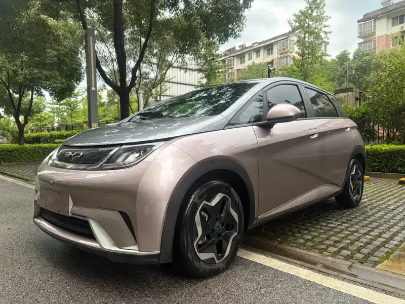 BYD Dolphin