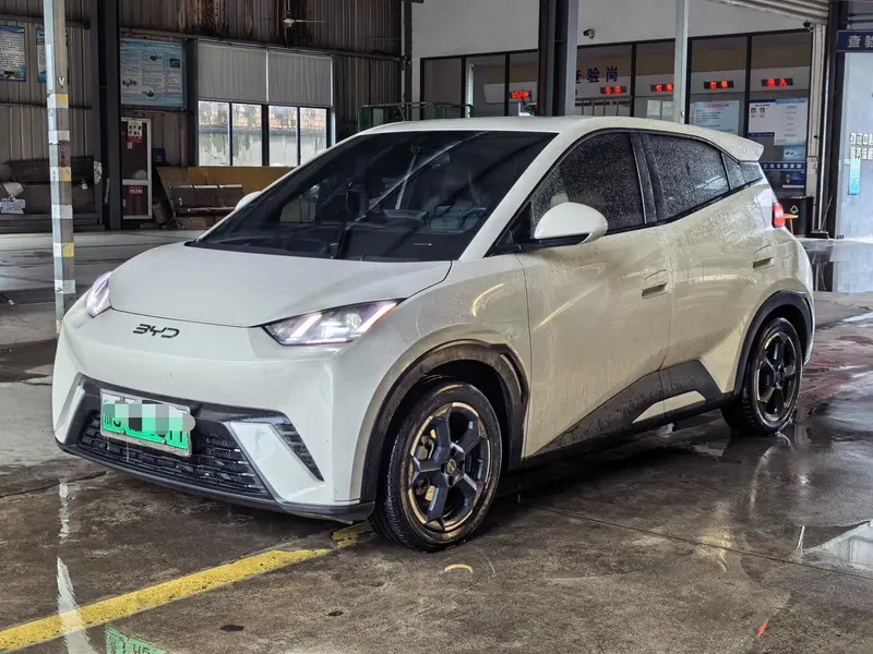 BYD Seagull