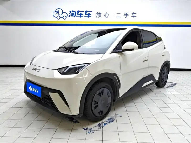 BYD Seagull