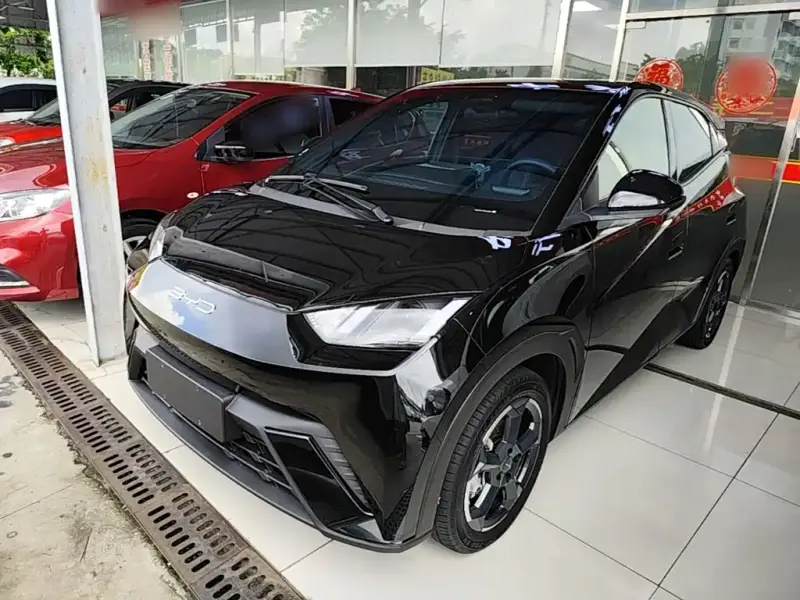 BYD Seagull