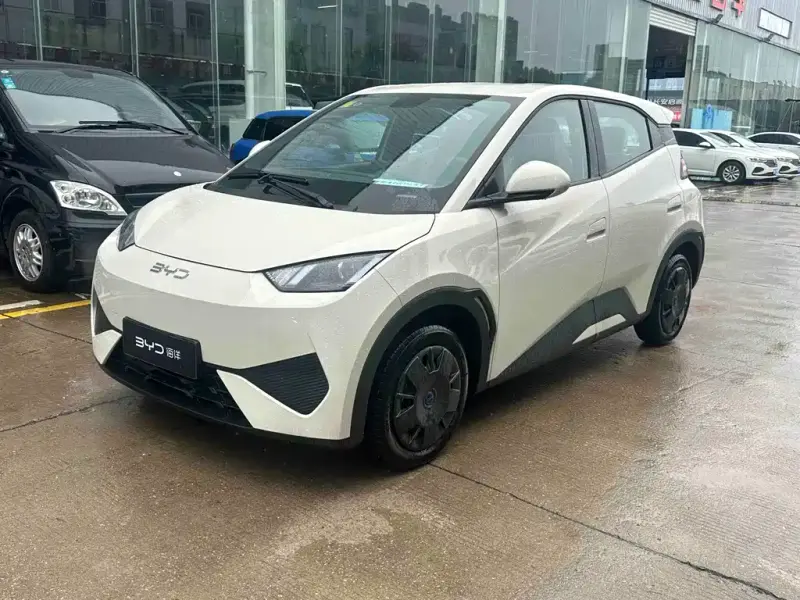 BYD Seagull