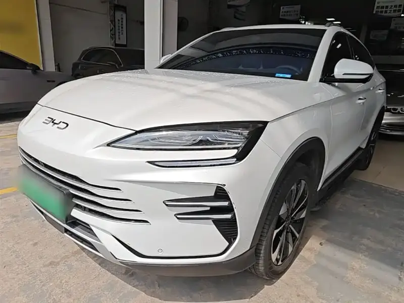 BYD Seal U (PLUS New Energy)