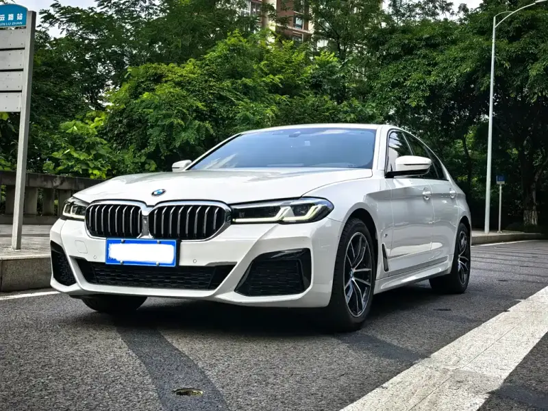 BMW 5 Series (Import)