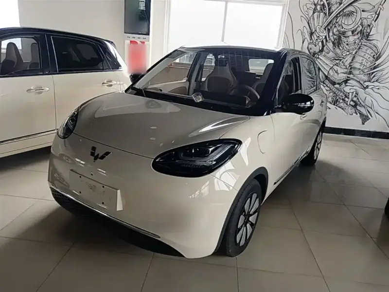 Wuling Bingo