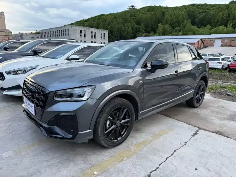 Audi Q2L
