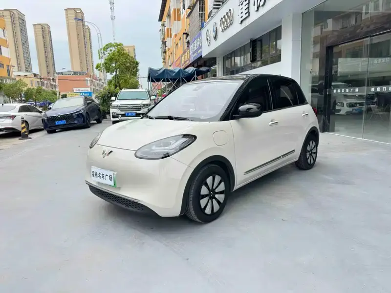 Wuling Bingo