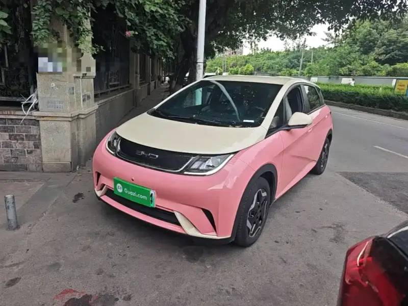 BYD Dolphin