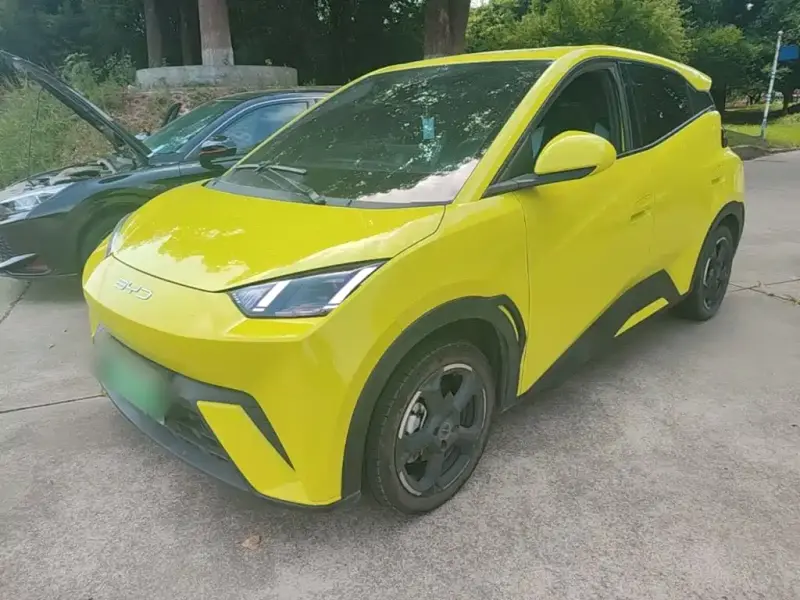 BYD Seagull