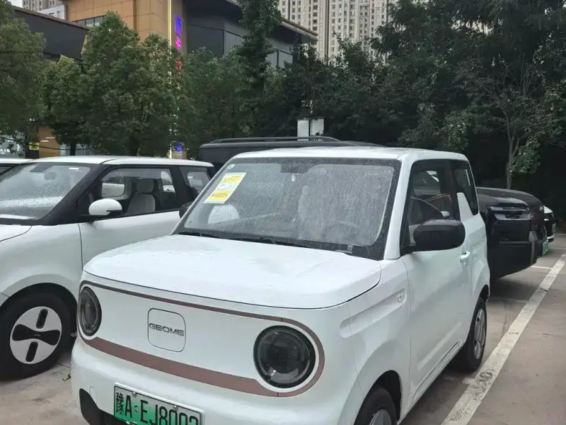 Galaxy Panda Mini (Panda)
