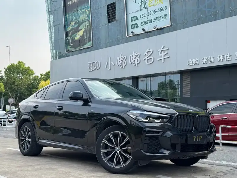 BMW X6