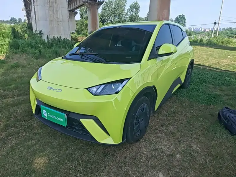 BYD Seagull