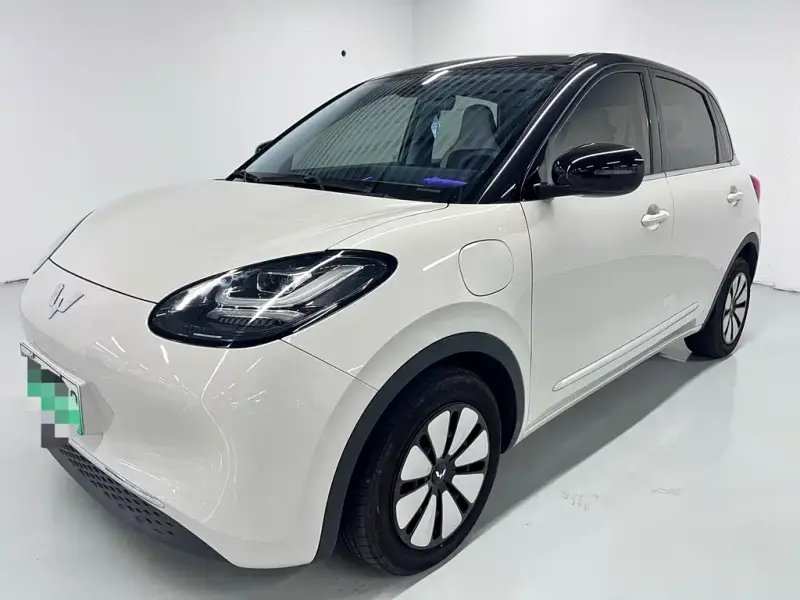 Wuling Bingo