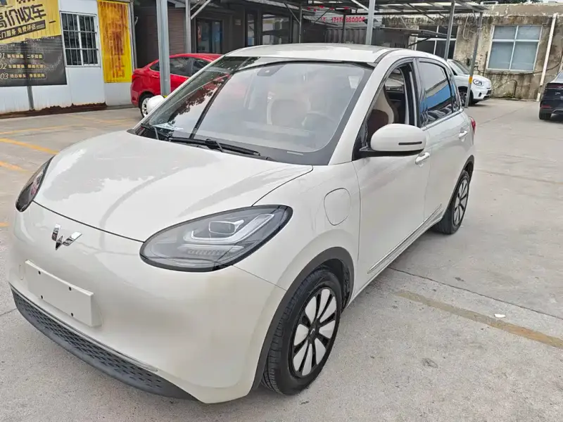 Wuling Bingo