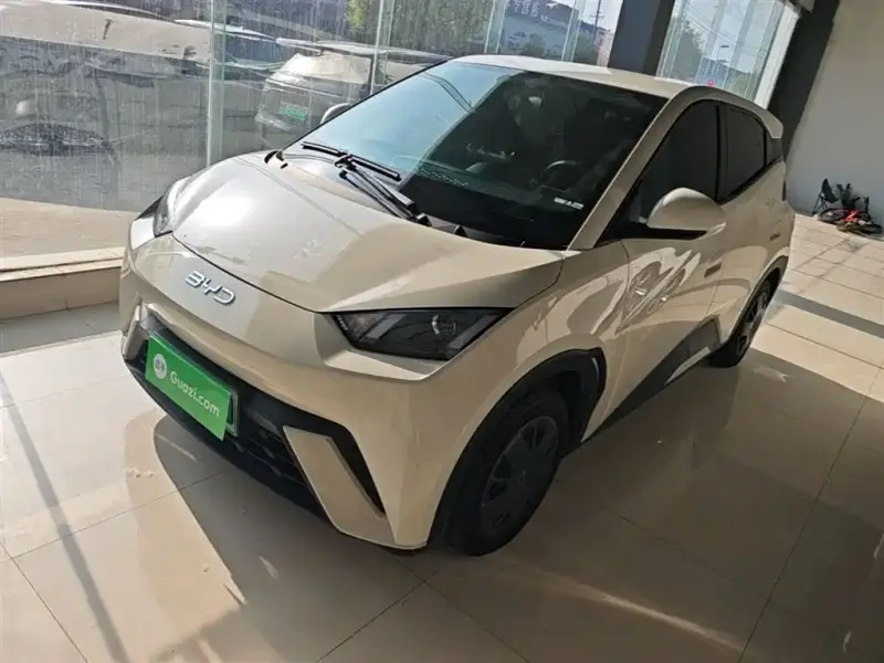 BYD Seagull