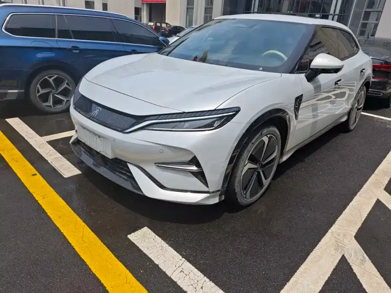 BYD L EV
