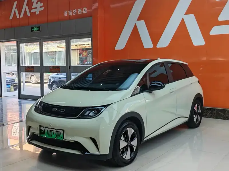 BYD Dolphin