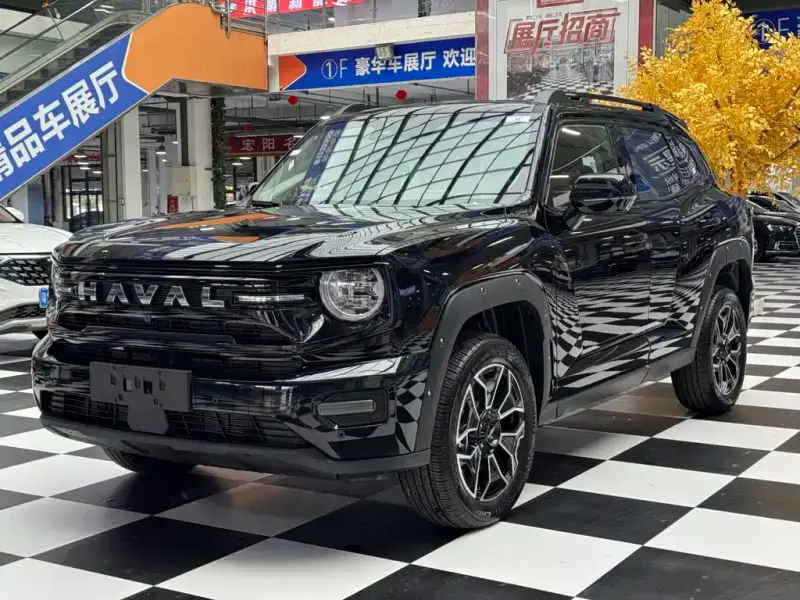 Haval Dargo PLUS NEV