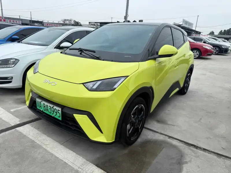 BYD Seagull
