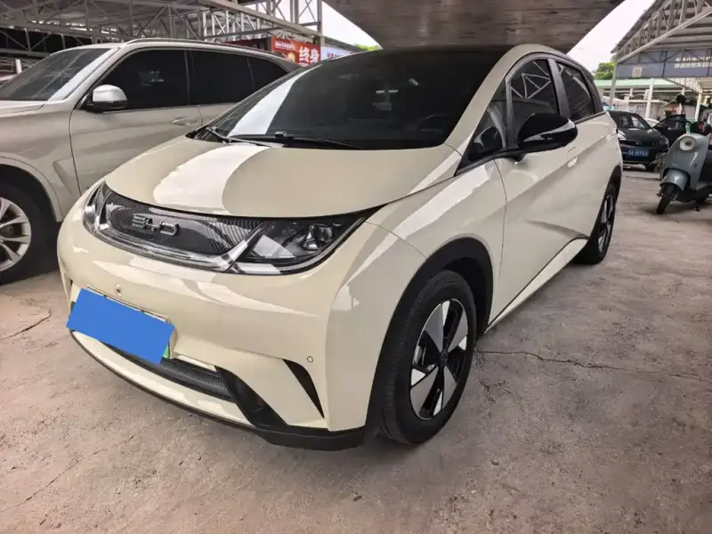 BYD Dolphin