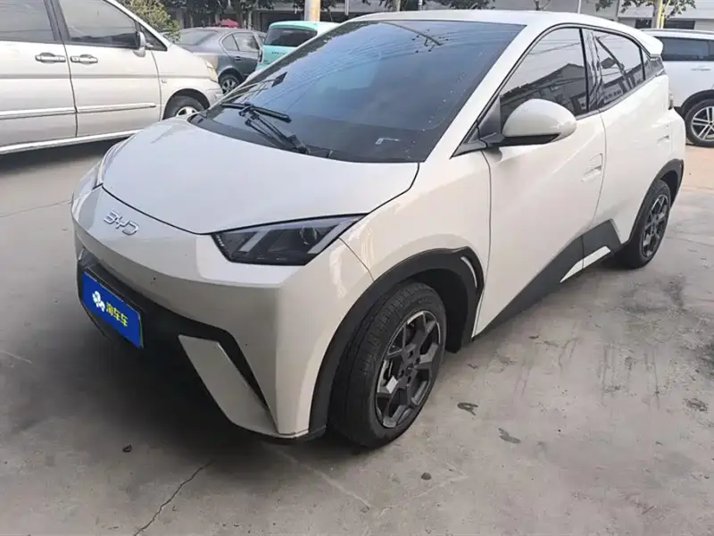 BYD Seagull