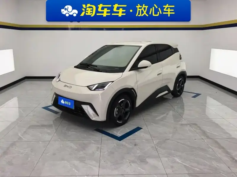 BYD Seagull