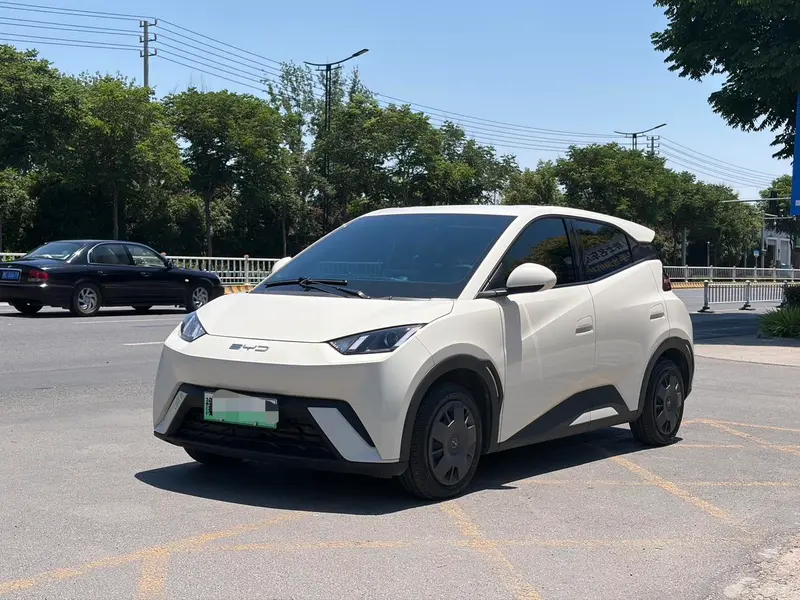 BYD Seagull