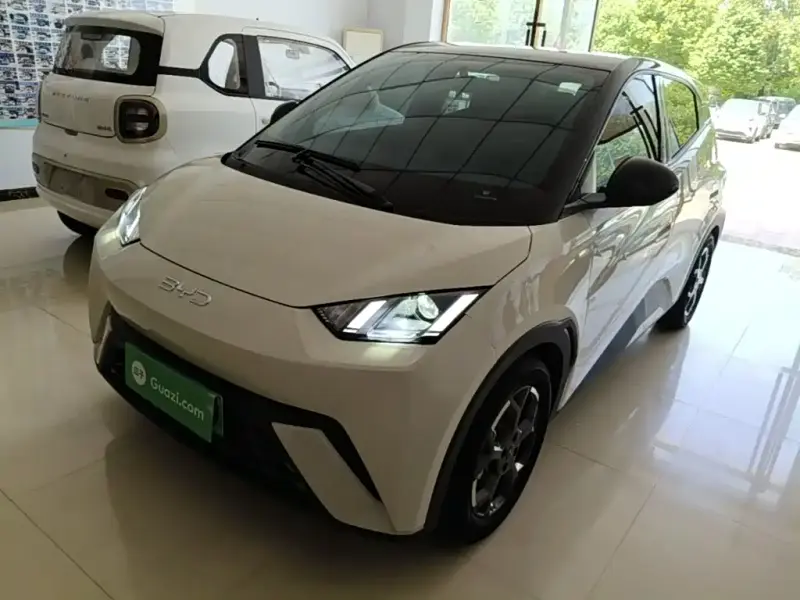 BYD Seagull