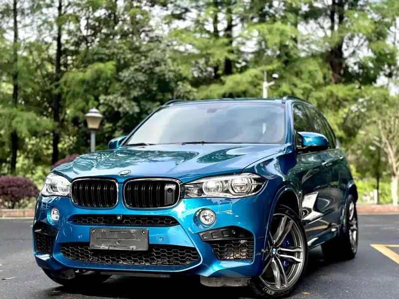 BMW X5 M