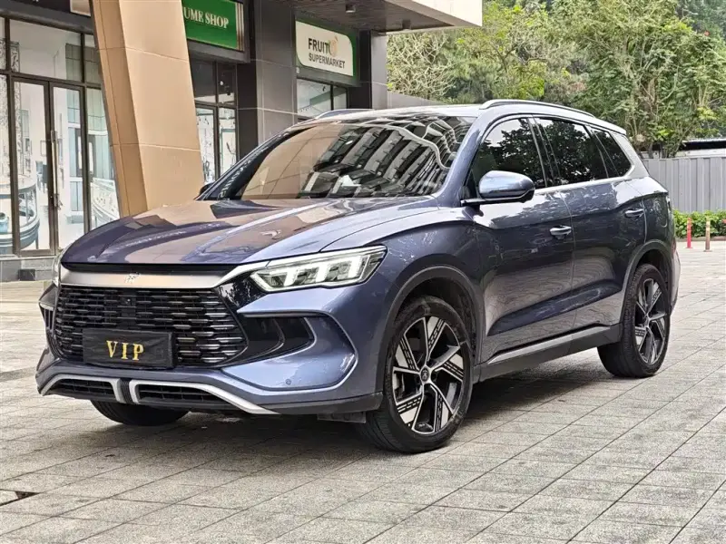 BYD Pro New Energy