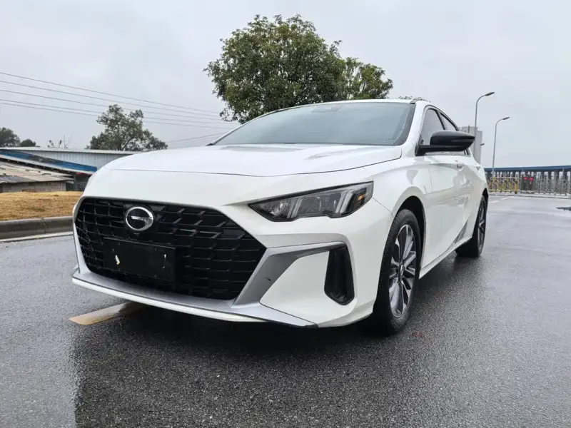 GAC Motor Empow (Shadow Leopard)