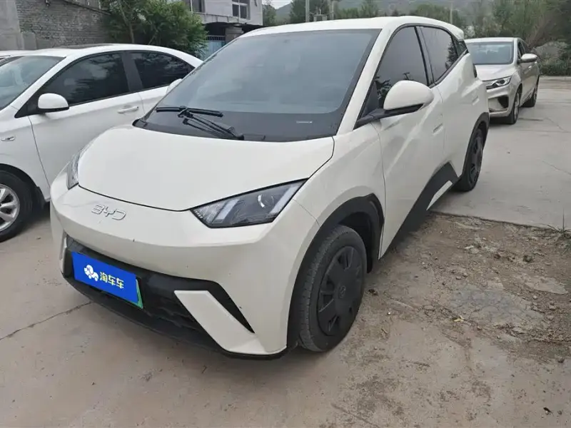BYD Seagull
