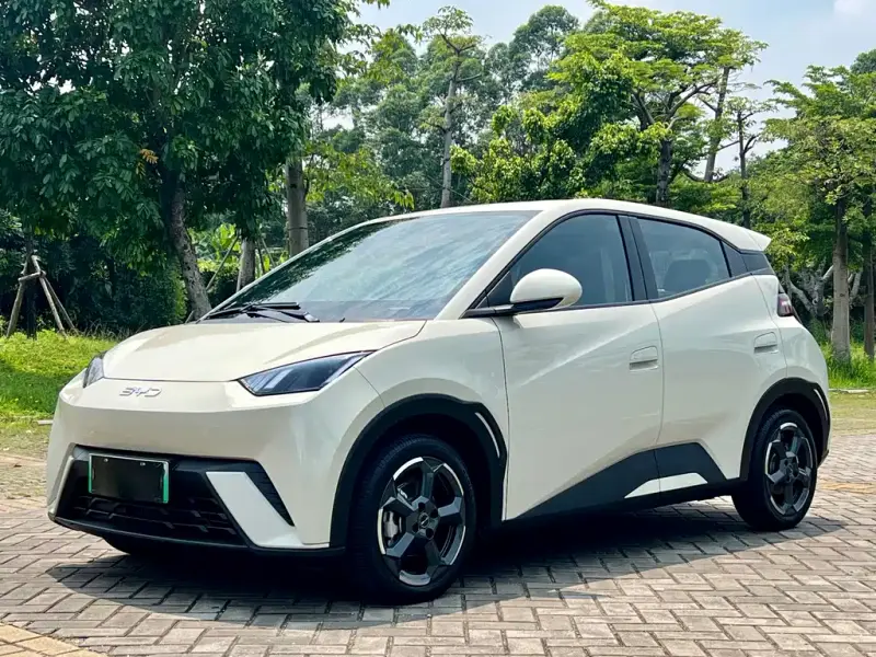 BYD Seagull