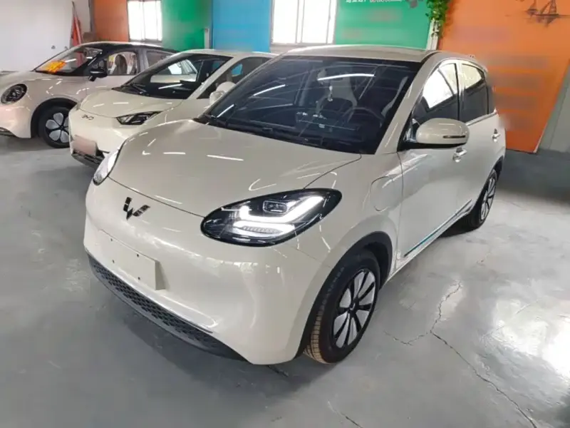 Wuling Bingo