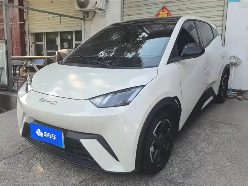 BYD Seagull