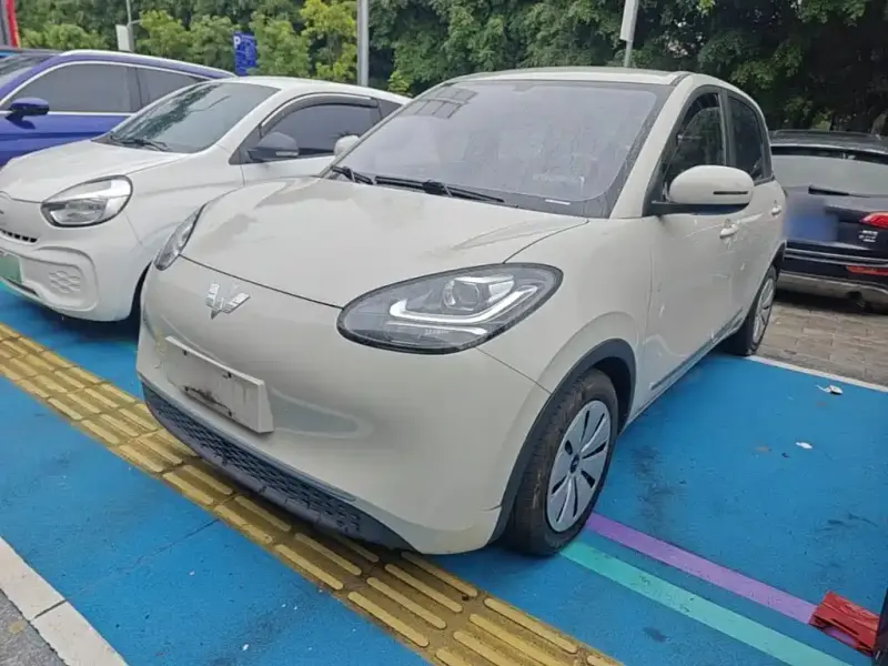 Wuling Bingo