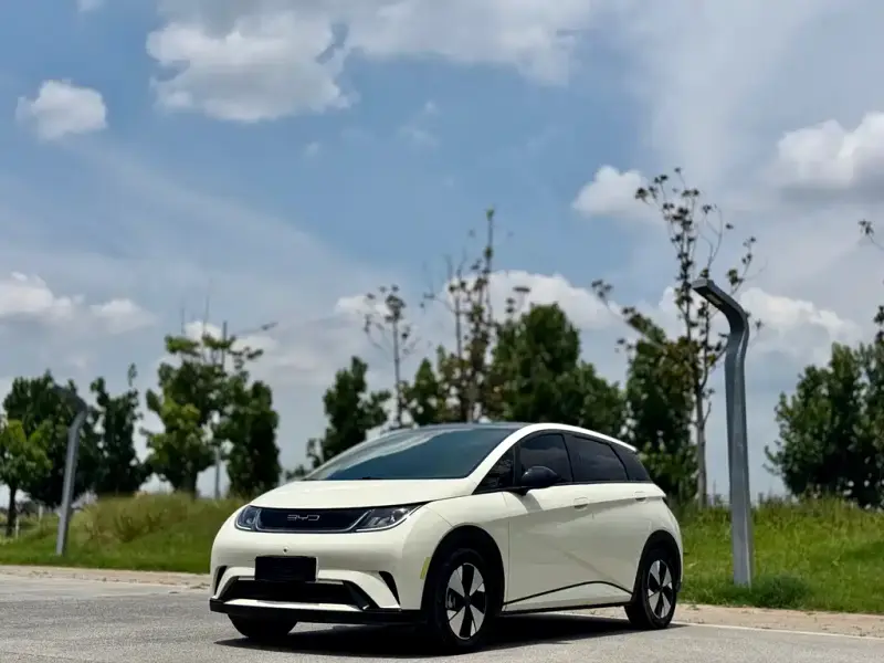 BYD Dolphin