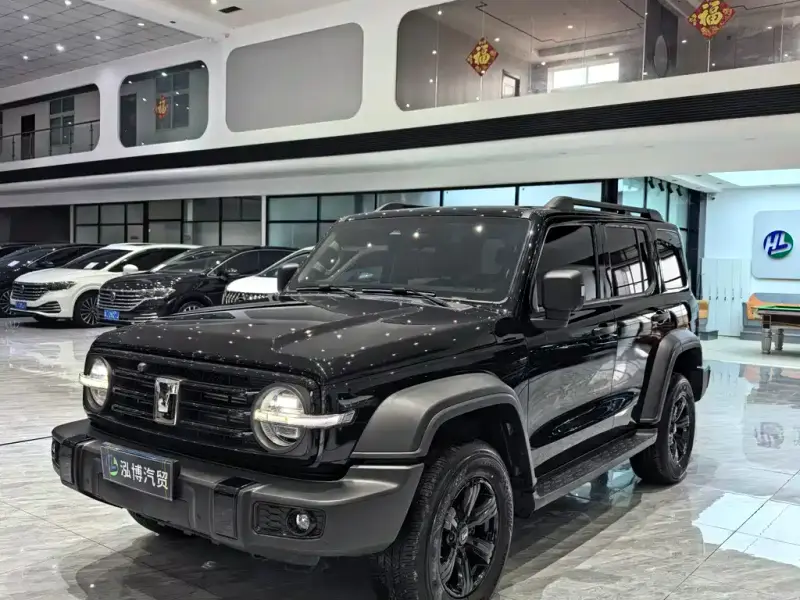 Tank 300