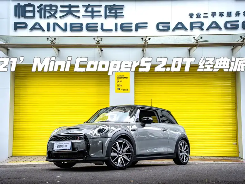 MINI Mini