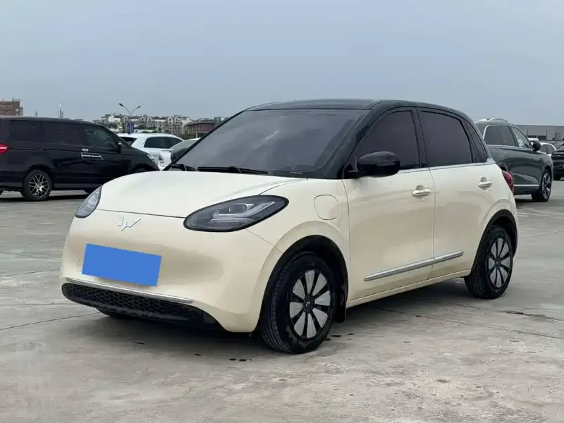 Wuling Bingo