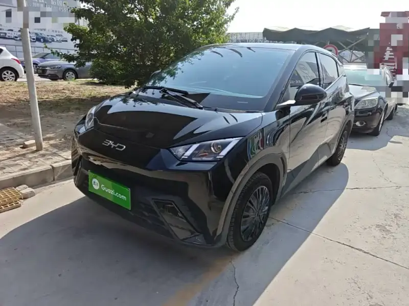 BYD Seagull