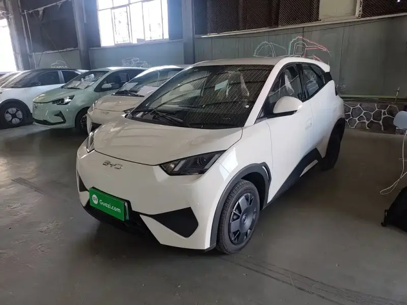 BYD Seagull