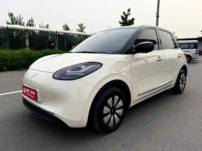 Wuling Bingo